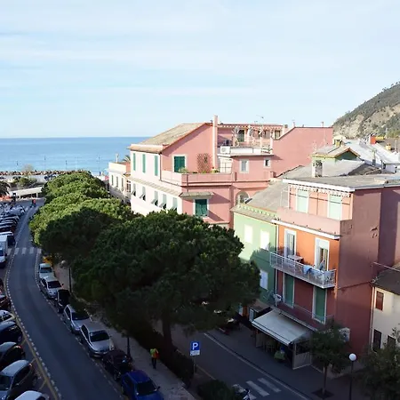 Corallo Moneglia