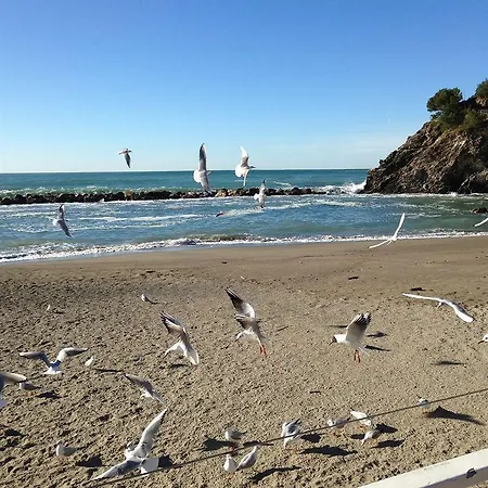 Corallo 2* Moneglia